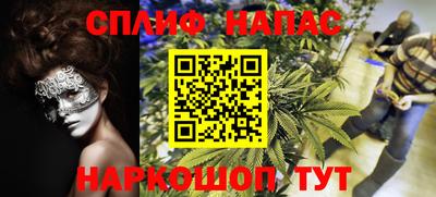 ECSTASY Заводоуковск