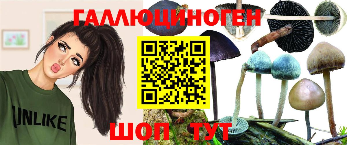 купить наркотик  Вход с VPN  Гудермес  Псилоцибиновые грибы Cubensis 